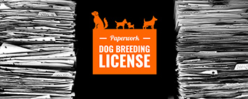 How to get sales dog breeder license